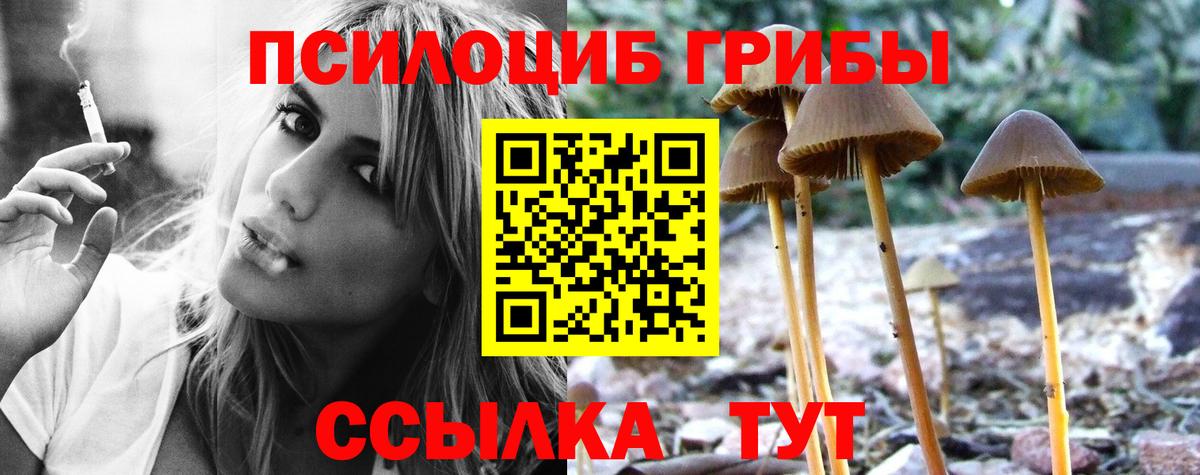 Галлюциногенные грибы мицелий Курчатов