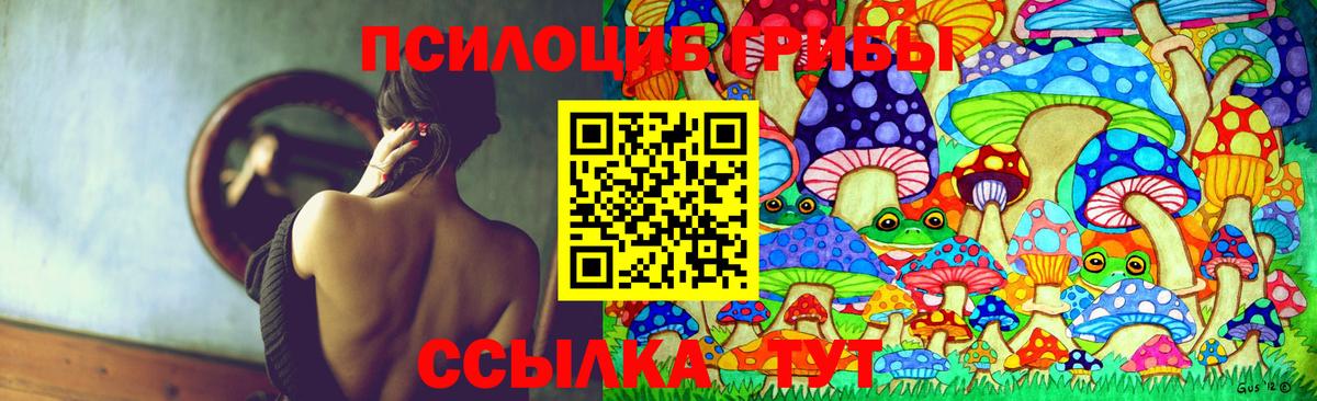 Псилоцибиновые грибы мицелий  Псилоцибиновые грибы Cubensis  Курчатов  Вход с VPN 